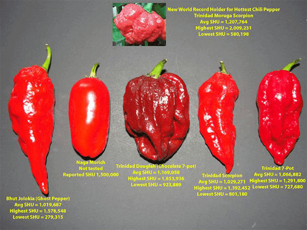 10 Chilli facts you may not of known - Mr Chilli - mrchilli.com.au